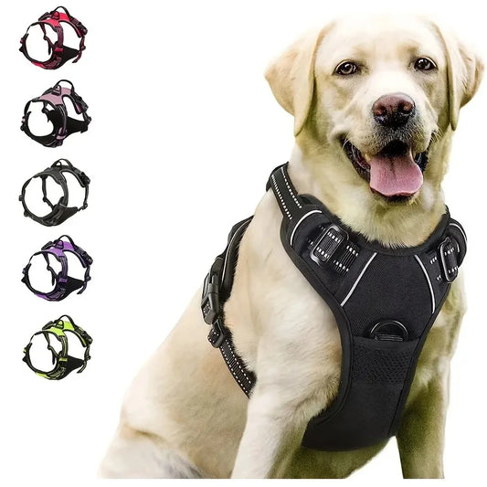 Set de Collar, Arnés y Correa de Piel 🐕 – Para Perros Pequeños y Medianos