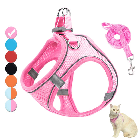 Set de Arnés y Correa Reflectante 🌙 – Para Gatos y Perros Pequeños