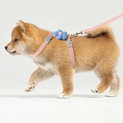 Set de Arnés y Correa Ajustable 🐾 – Para Gatos y Perros Pequeños