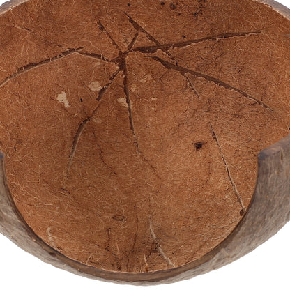 Escondite de Cáscara de Coco para Tortugas - Plataforma para Tomar el Sol y Decoración de Hábitat