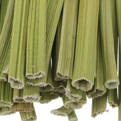 Palitos de Tallo de Papaya Deshidratado 🌿 – Snack Masticable para Conejos, Hámsters y Cobayas (100 g)