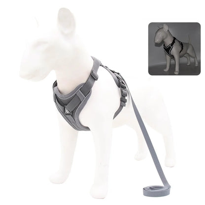 Set de Arnés y Correa 🐶 – Ideal para Perros Pequeños y Cachorros