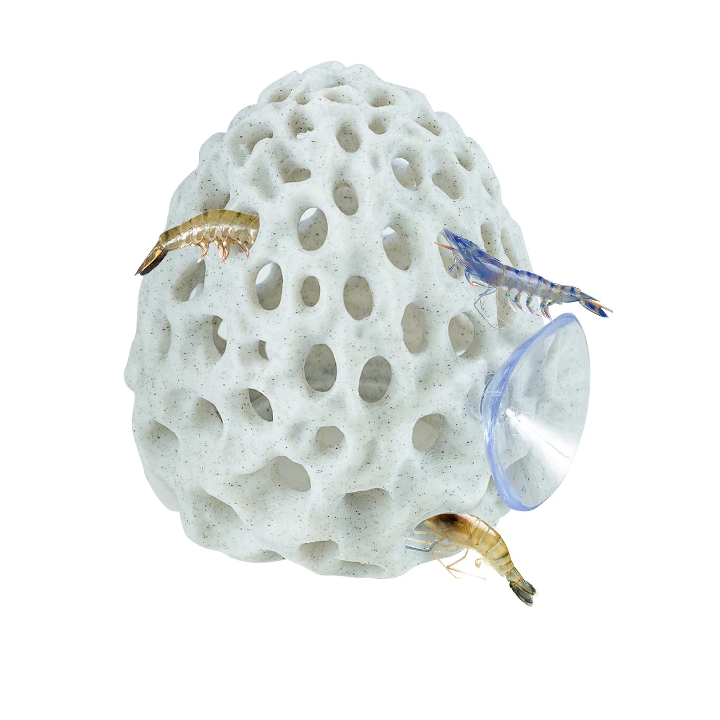Escondite para Camarones y Peces Betta con Ventosa - Decoración de Acuario