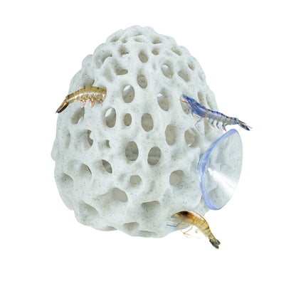 Escondite con Ventosa 🐠 – Para Camarones y Peces Betta
