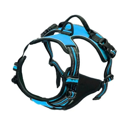 Set de Collar, Arnés y Correa de Piel 🐕 – Para Perros Pequeños y Medianos