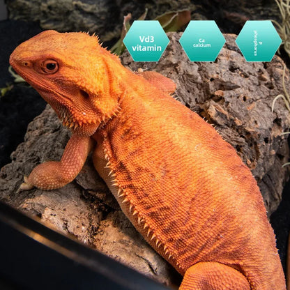 SuperRep - Calcio Pro-Vitamínico y Probiótico con D3 para Tortugas, Dragón Barbudo y Gecko Crestado