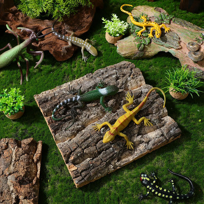 4 Piezas de Corteza de Corcho Segura 🌳 – Decoración de Fondo para Terrario de Lagartos y Geckos