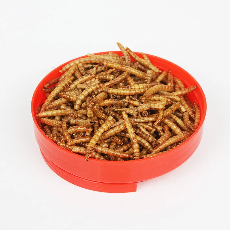 Gusanos de la Harina Deshidratados - Snack Multiproteico para Hámsters, Aves, Erizos y Peces
