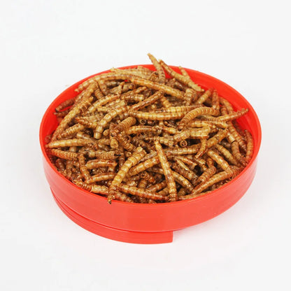 Gusanos de la Harina Deshidratados 🐛 – Snack Multiproteico para Hámsters, Aves, Erizos y Peces