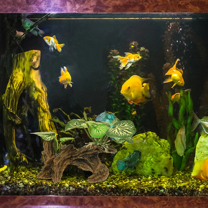 Planta Ornamental Realista 🌿 – Decoración de Terrario y Acuario para Reptiles