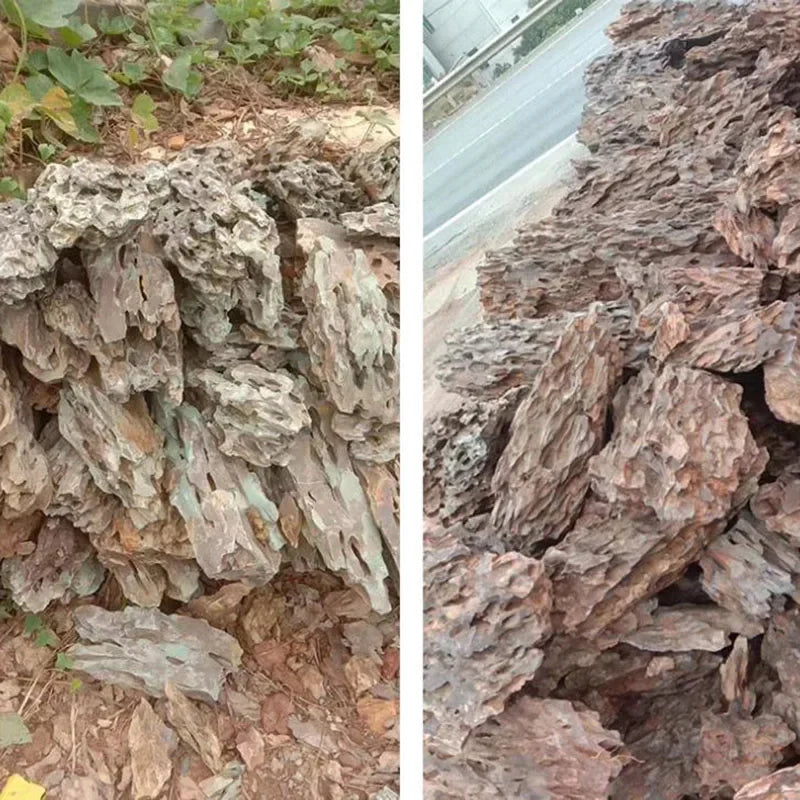 Piedra Natural Microporosa para Acuario - Decoración de Rocalla para Plantas