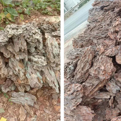 Piedra Natural Microporosa 🪨 – Rocalla Decorativa para Plantas de Acuario
