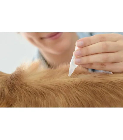 Diptron Pipetas Antiparasitarias 🛡️ – Para Perros hasta 20 kg (Pack 2 uds)