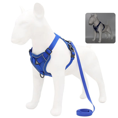 Set de Arnés y Correa 🐶 – Ideal para Perros Pequeños y Cachorros