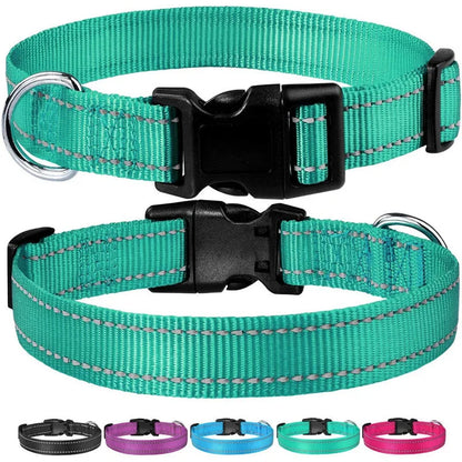 Collar Reflectante Ajustable 🌙 – Seguridad Extra en Paseos Nocturnos para Perros