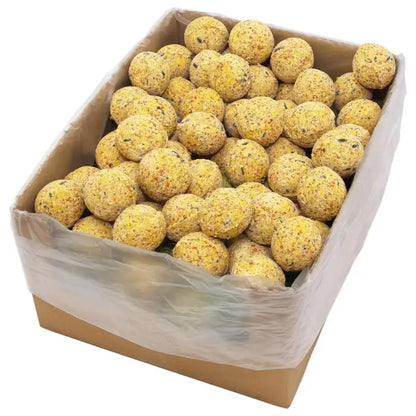 Bolas de Grasa ❄️ – Alimento de Alta Energía para Aves Silvestres en Invierno (200x90 g)