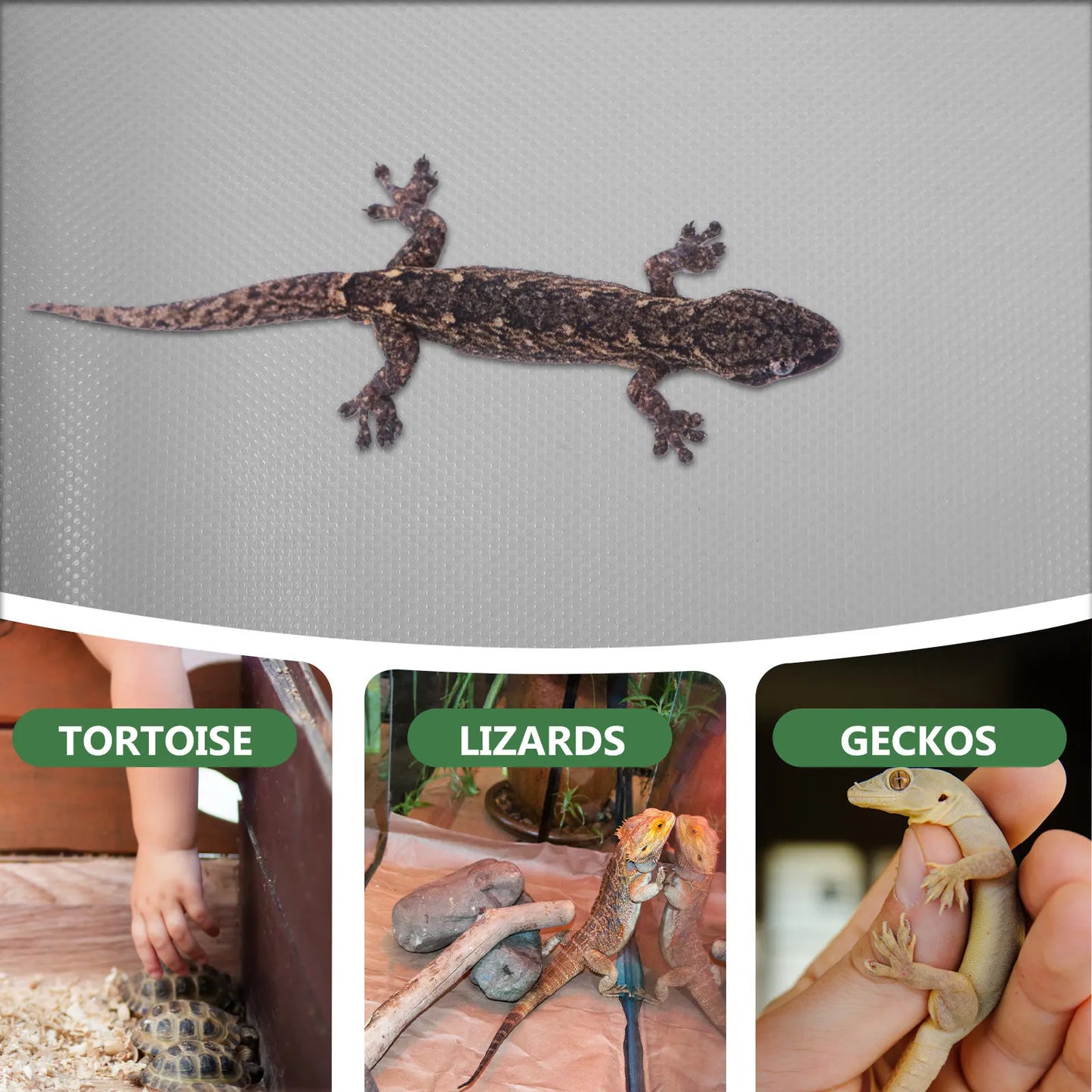 Alfombra Grande de Terrario Antideslizante para Reptiles - Serpientes, Dragón Barbudo, Gecko y Tortuga