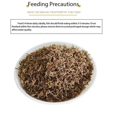 Gusanos Rojos Deshidratados de Alta Proteína 🐛 – Alimento Natural para Peces, Tortugas y Reptiles