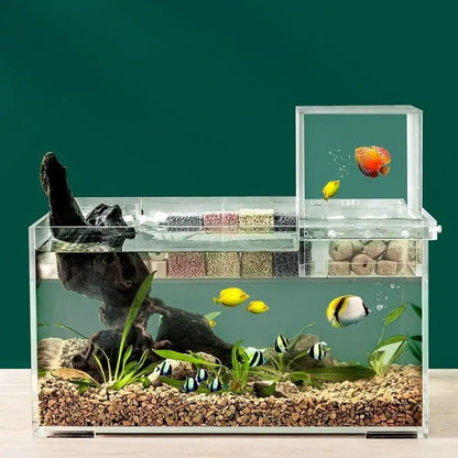 Pecera de Presión Negativa 🐠 – Acuario Acrílico Suspendido de Fácil Instalación