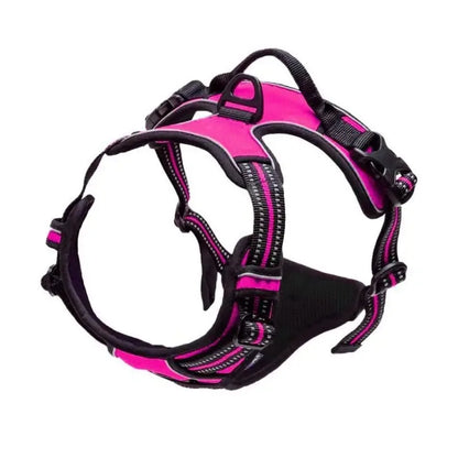 Set de Collar, Arnés y Correa de Piel 🐕 – Para Perros Pequeños y Medianos