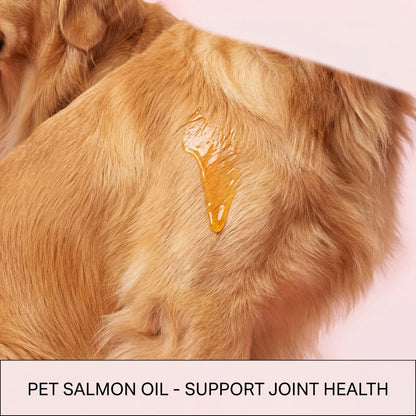 Aceite de Salmón Puro 100 ml 🐟 – Omega 3 para Piel, Pelo y Articulaciones