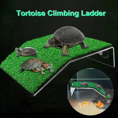 Plataforma Flotante para Tortugas 🐢 – Rampa de Descanso para Terrario y Acuario
