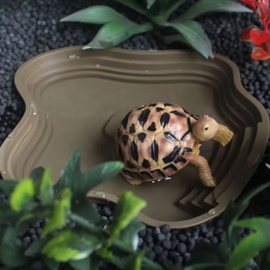 Bañera para Tortugas con Diseño de Escalera Antideslizante - Cuenco de Agua Grueso para Reptiles y Anfibios