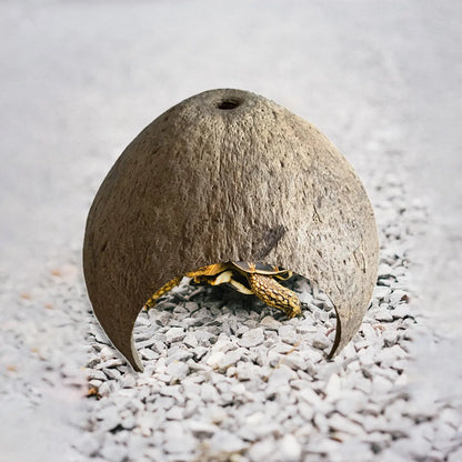 Choza de Cáscara de Coco - Escondite y Refugio de Cría para Cangrejos Ermitaños y Reptiles
