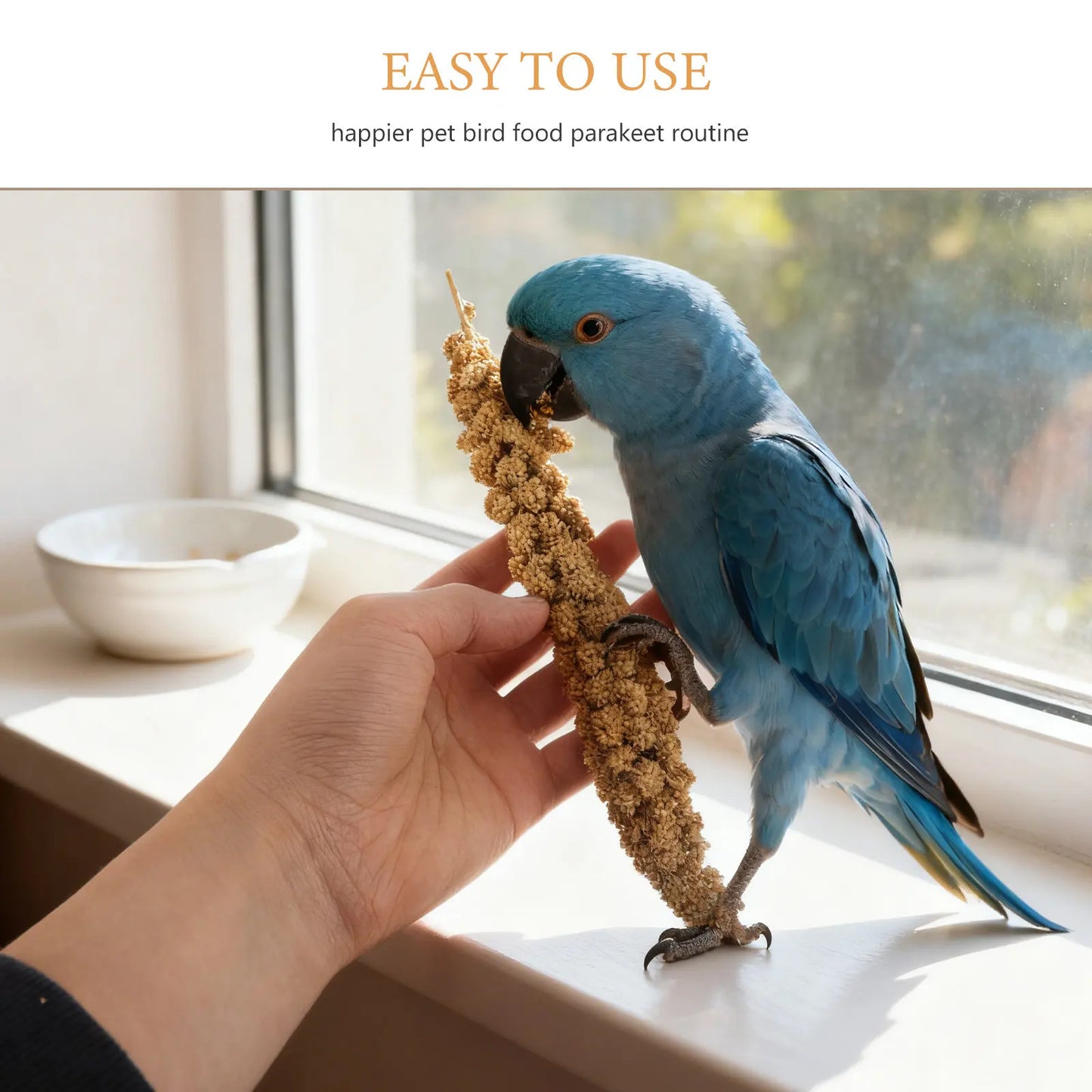 Espigas de Mijo Natural para Aves - Snack de 500g para Periquitos, Loros y Cotorras