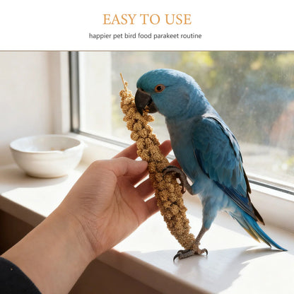 Espigas de Mijo Natural 🌾 – Snack para Periquitos, Loros y Cotorras (500 g)