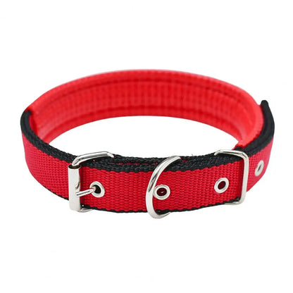 Collar de Nylon Ajustable 🐕 – Anilla de Enganche Resistente para Perros
