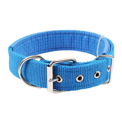 Collar de Nylon Ajustable 🐕 – Anilla de Enganche Resistente para Perros
