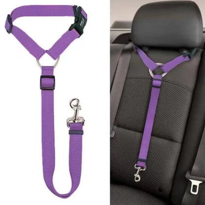 Cinturón de Seguridad 2 en 1 🚗 – También Funciona como Correa para Perros
