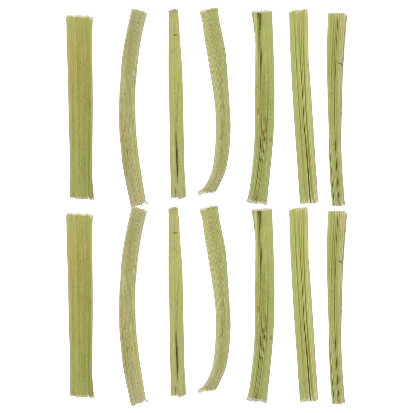 Palitos de Tallo de Papaya Deshidratado 100g - Snack Masticable para Conejos, Hámsters y Cobayas