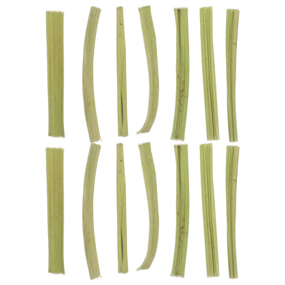 Palitos de Tallo de Papaya Deshidratado 🌿 – Snack Masticable para Conejos, Hámsters y Cobayas (100 g)