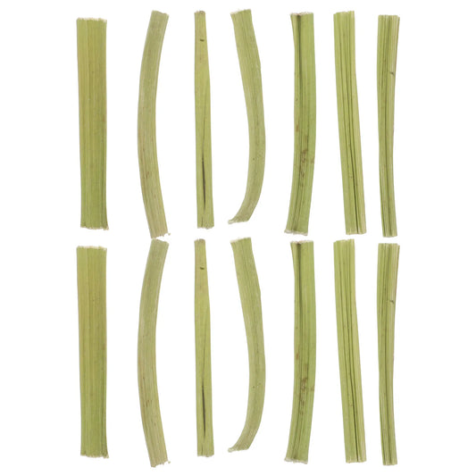 Palitos de Tallo de Papaya Deshidratado 100g - Snack Masticable para Conejos, Hámsters y Cobayas