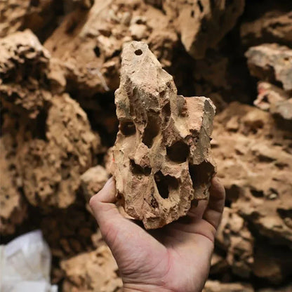 Piedra Natural Microporosa 🪨 – Rocalla Decorativa para Plantas de Acuario