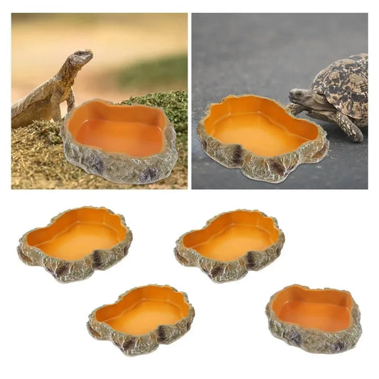 Comedero y Bebedero para Reptiles - Cuenco para Lagartos, Geckos, Ranas Cornudas, Serpientes y Tortugas