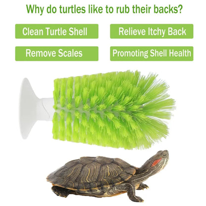 Cepillo Limpiador de Caparazón para Tortugas - Escobilla para Pequeños Animales Acuáticos