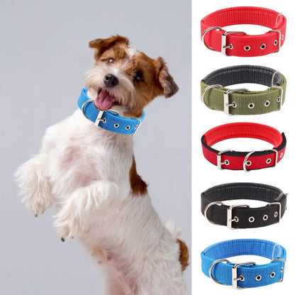 Collar de Nylon Ajustable 🐕 – Anilla de Enganche Resistente para Perros