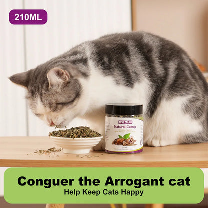 Hierba Gatera Natural (Catnip) 🌿 – 100% Segura para Juguetes y Accesorios de Gatos