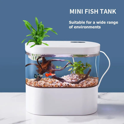 Acuario Creativo de Sobremesa 💡 – Filtración Biológica y Luz LED para Betta