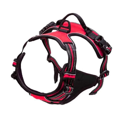 Set de Collar, Arnés y Correa de Piel 🐕 – Para Perros Pequeños y Medianos