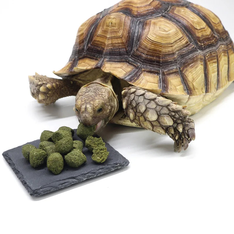 YIGE - Fórmula de Calcio para Tortugas Terrestres (Sulcata, Estrella de Birmania, Pata Roja, Leopardo)