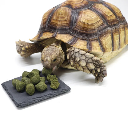 Yige Fórmula de Calcio 🦴 – Para Tortugas Terrestres (Sulcata, Estrella de Birmania, Pata Roja, Leopardo)