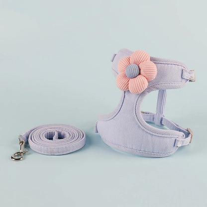 Set de Arnés y Correa Ajustable 🐾 – Para Gatos y Perros Pequeños
