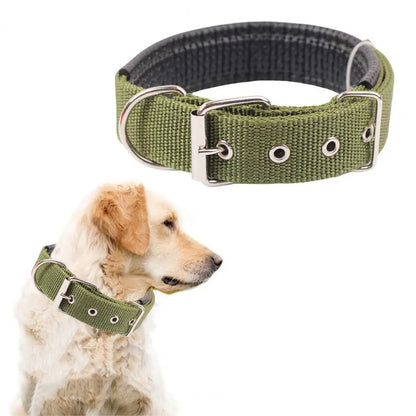 Collar de Nylon Ajustable 🐕 – Anilla de Enganche Resistente para Perros