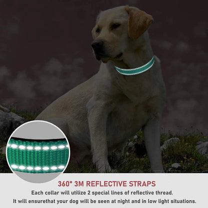 Collar Reflectante Ajustable 🌙 – Seguridad Extra en Paseos Nocturnos para Perros