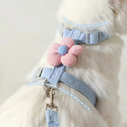 Set de Arnés y Correa Ajustable 🐾 – Para Gatos y Perros Pequeños