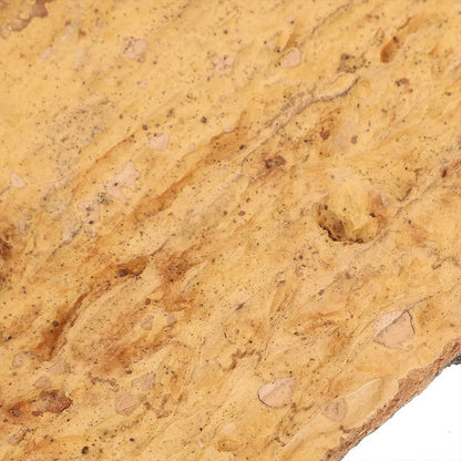 2 Piezas de Corteza de Corcho para Terrario - Decoración Natural y Plataforma para Trepar Reptiles